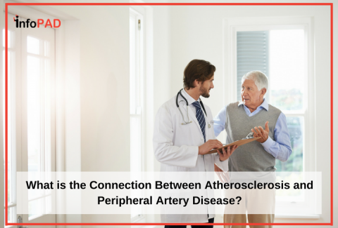 Everything You Need to Know About Atherosclerosis Everything You Need to Know About Atherosclerosis new images Everything You Need to Know About Atherosclerosis Everything You Need to Know About Atherosclerosis new photo