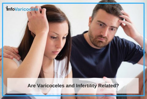How Varicoceles Contribute To Infertility? Detection Of Varicoceles And Infertility