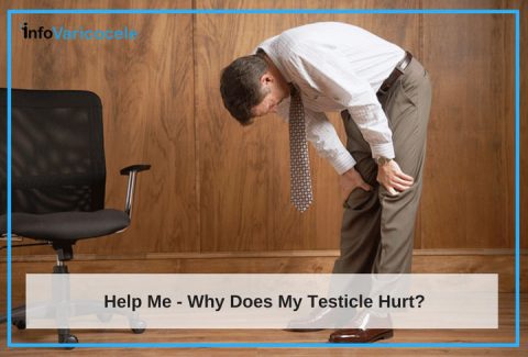 What Is Varicocele And Why Does My Testicle Hurt?