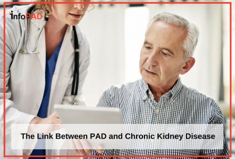The Link Between PAD And Chronic Kidney Disease Feature Image