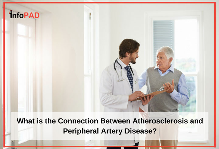 What is the Connection Between Atherosclerosis and Peripheral Artery Disease Feature Image