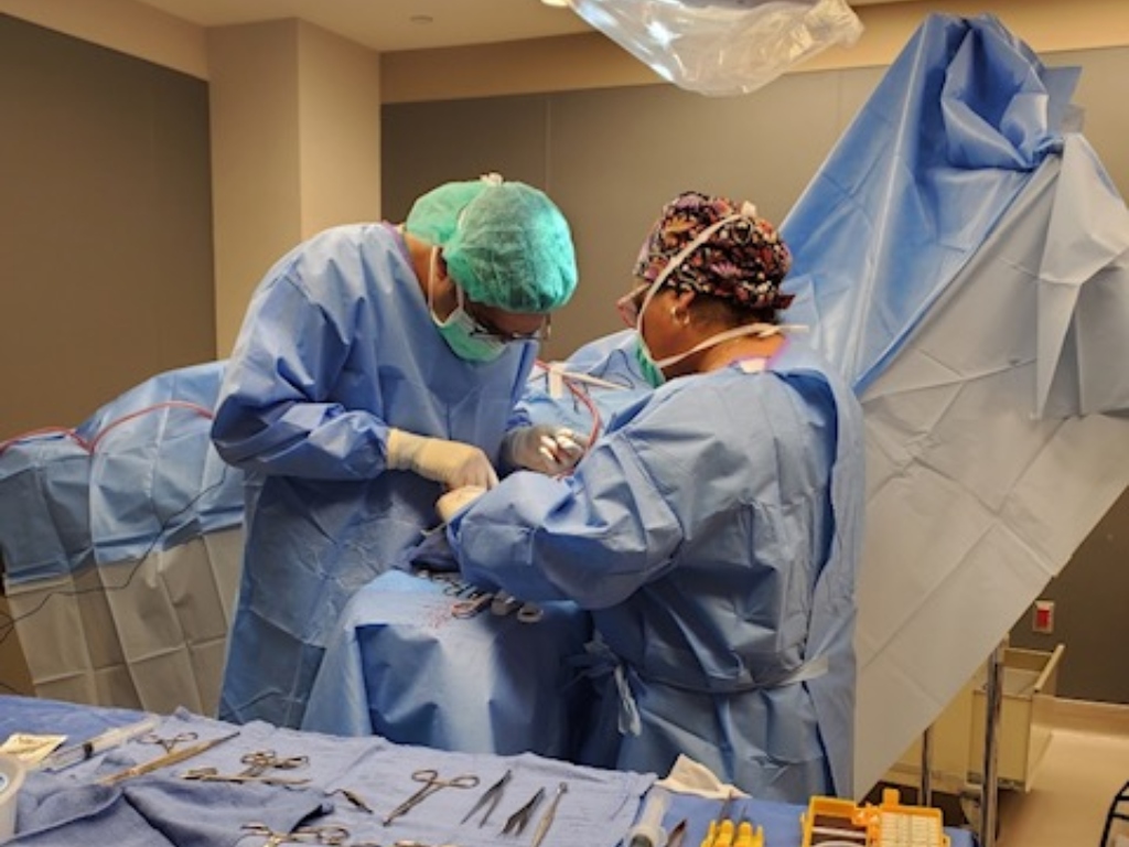 Bay Area Vascular Center surgeon