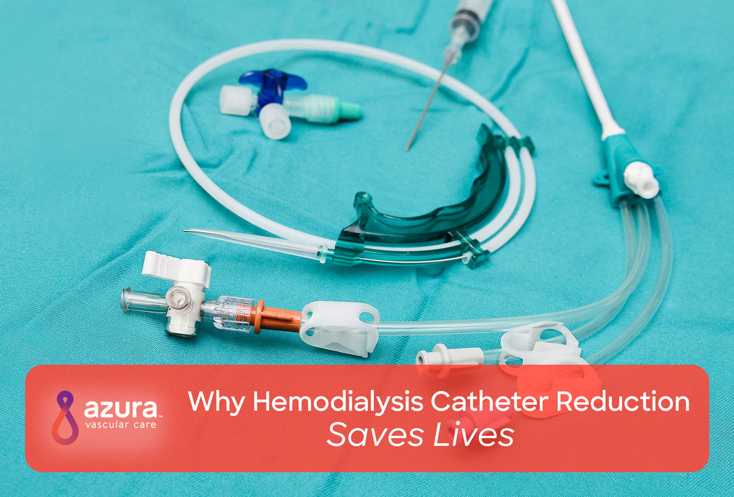 Hemodialysis Catheter Avoidance Saves Lives