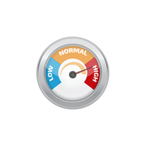 Risk Assessment Meter Image