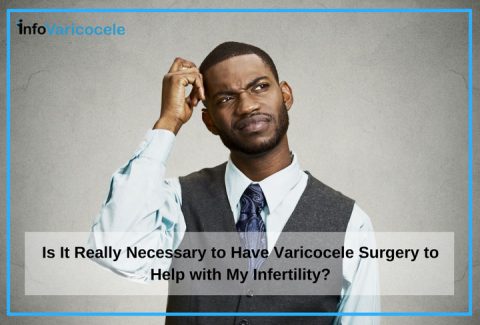 Do Varicoceles Cause Infertility?