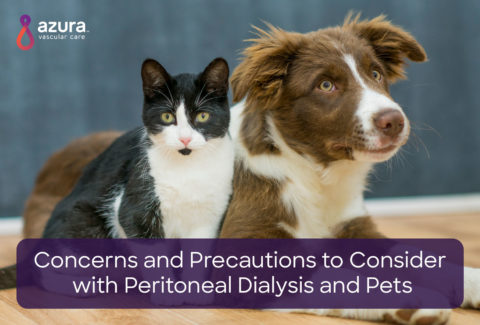 Concerns and Precautions to Consider with Peritoneal Dialysis and Pets