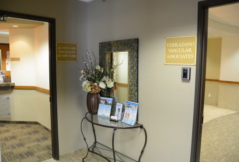 Decorative Pieces in Verrazano Vascular Associates at Access Care Physicians