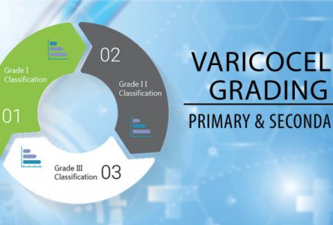 What Are The Different Grades of Varicocele? Primary And Secondary Varicocele